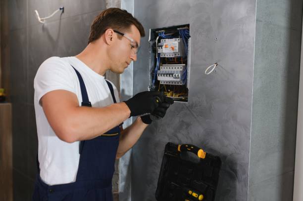 Best Electrical Wiring Services  in Niagara, WI